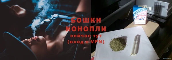 СК Горняк