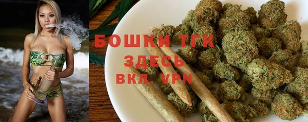 СК Горняк