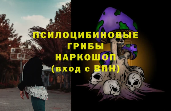 2c-b Горно-Алтайск