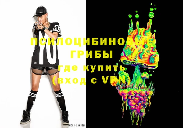 СК Горняк