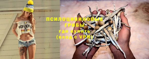 2c-b Горно-Алтайск