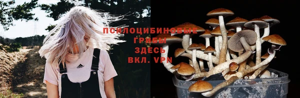 прущая мука Горнозаводск