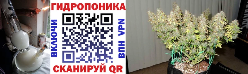 Бошки марихуана OG Kush  Купить  Куса 